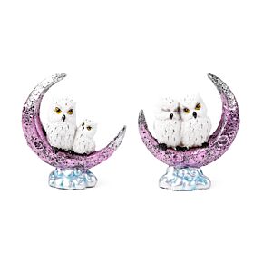 Gufi Magici sulla Luna Crescente