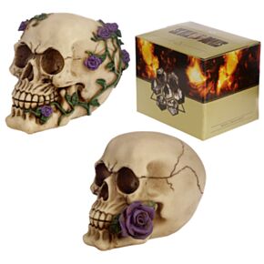 Teschio con Rose Viola