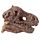 Kit dell'Archeologo - Teschi di Dinosauri