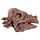 Kit dell'Archeologo - Teschi di Dinosauri