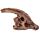 Kit dell'Archeologo - Teschi di Dinosauri