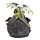 Baby Drago della Foresta - Tana di Cristallo LED - Sogni d'Oro
