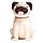 Solar Pal - Pug Carlino