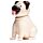 Solar Pal - Pug Carlino