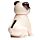 Solar Pal - Pug Carlino