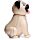 Solar Pal - Pug Carlino