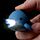Portachiavi con LED e Suono - Animali Marini