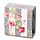 Burrocacao in Vasetto - Botaniche Rosa - Julie Dodsworth