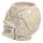 Tazza in Ceramica a Forma di Teschio Antico