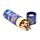 Tubo con Matite Colorate - 12 pezzi - Animali - Mariniverse
