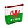 Portamonete in PVC con Cerniera - Cymru - Drago Gallese
