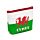 Portamonete in PVC con Cerniera - Cymru - Drago Gallese