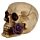 Teschio con Rose Viola