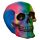 Teschio Decorativo - Colore Arcobaleno