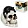 Teschio Decorativo - Gatto Nero