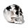 Teschio Decorativo Color Argento con Ragni e Ragnatele