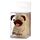 Spugnetta per Trucco - Pug Carlino