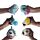 Antistress di Peluche - Animali Marini - Queasy Squeezies