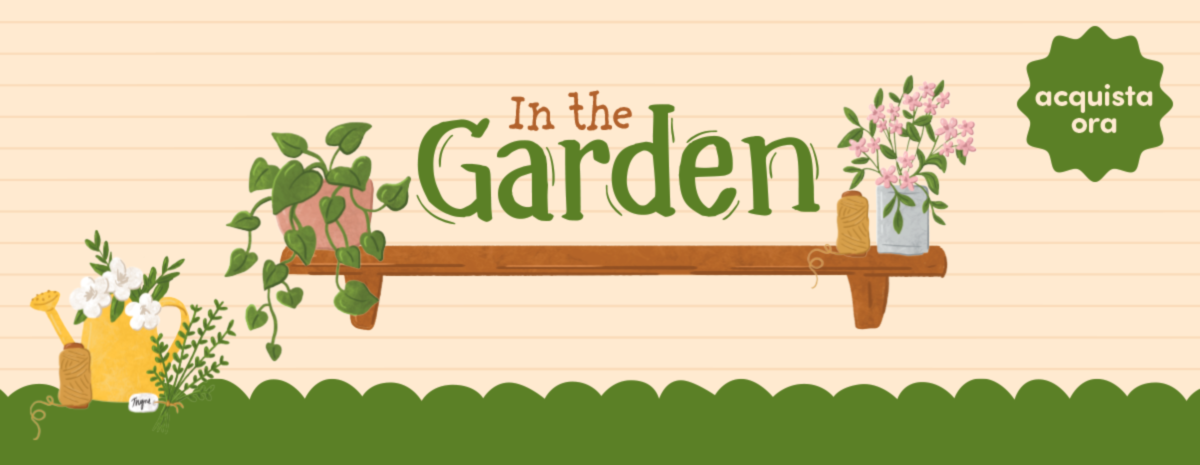 In the garden